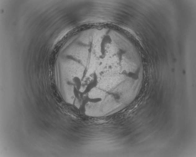 X0000075830871200610151517