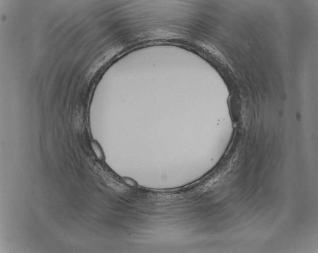 X0000075830873200610151517