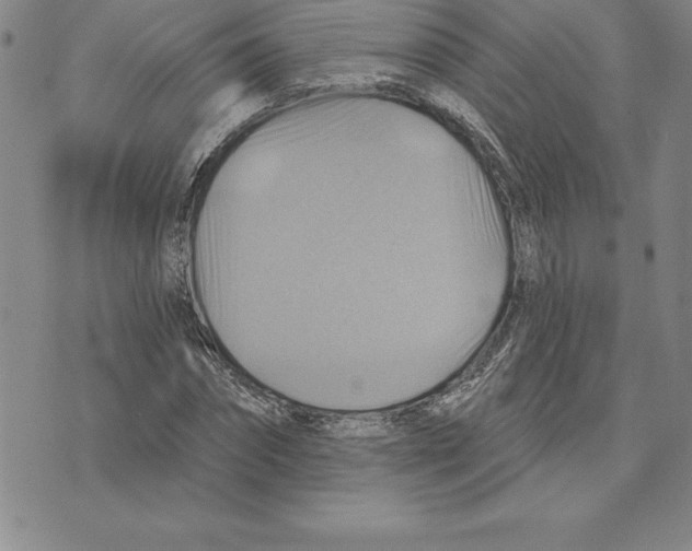 X0000075830874200610151517