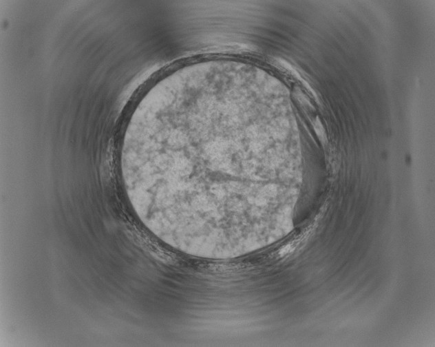 X0000075830875200610151517