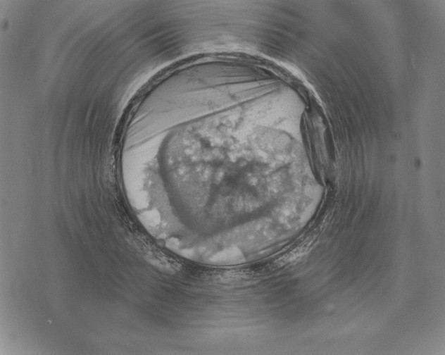 X0000075830879200610151517