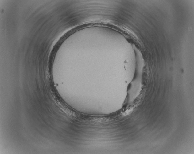 X0000075830880200610151517