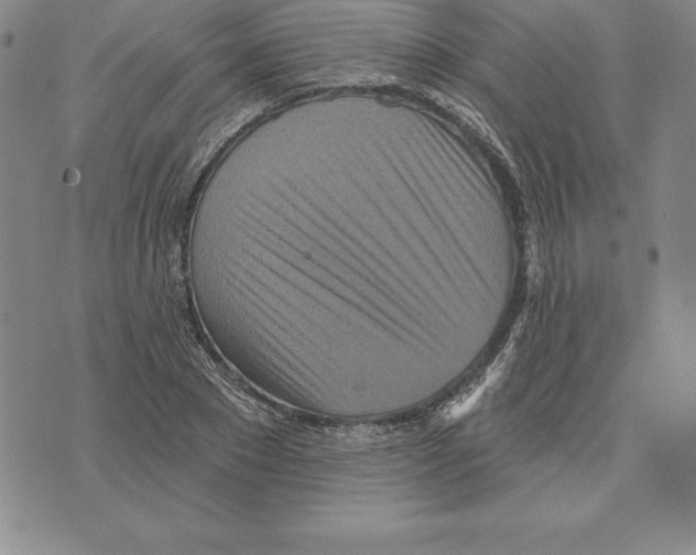 X0000075830881200610151517