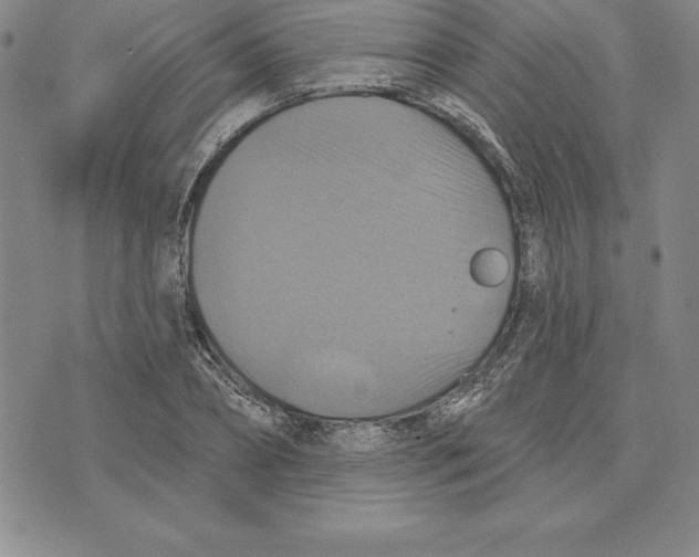 X0000075830882200610151517