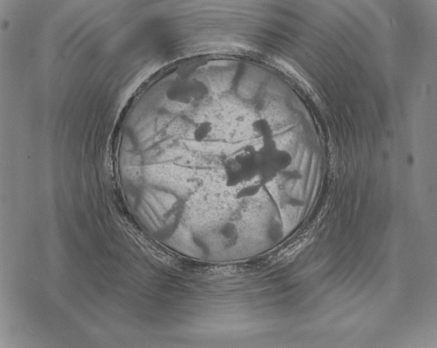 X0000075830883200610151517