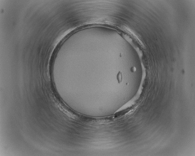 X0000075830884200610151517