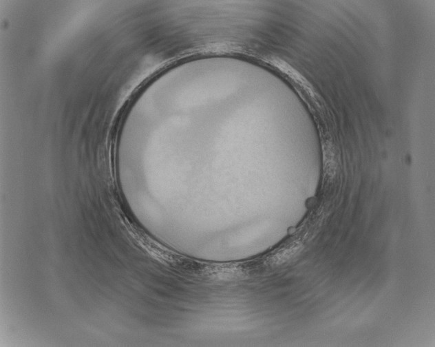 X0000075830886200610151517