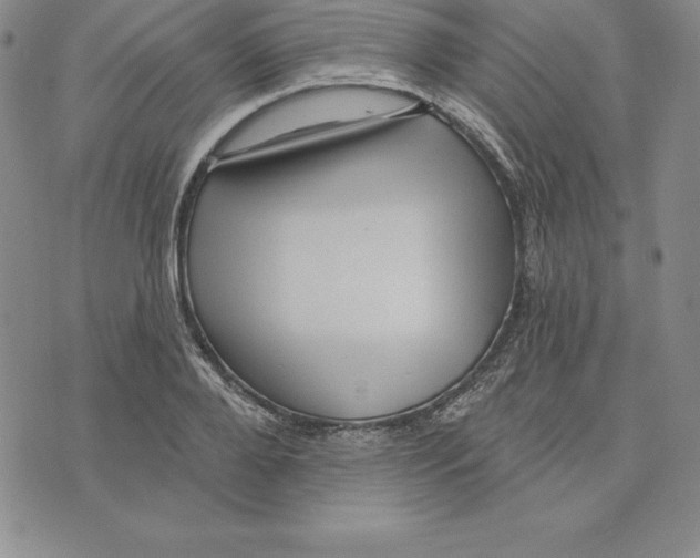 X0000075830888200610151517