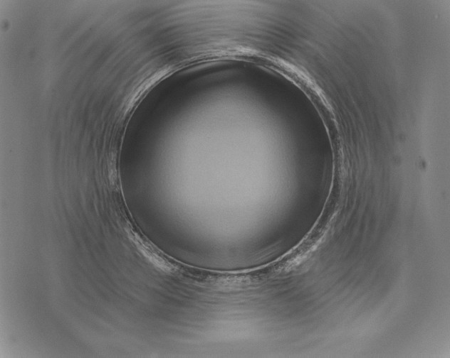 X0000075830889200610151517