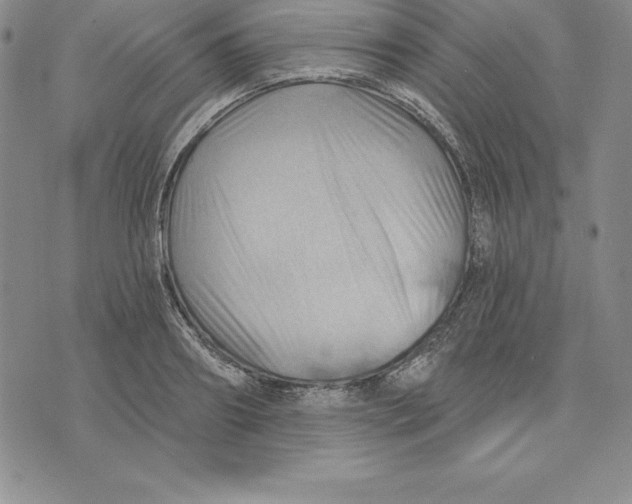 X0000075830890200610151517