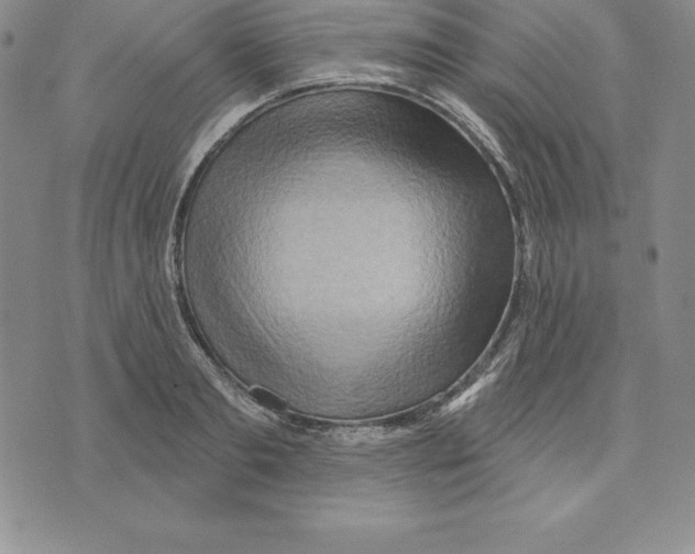 X0000075830893200610151517