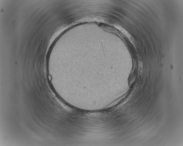 X0000075830894200610151517