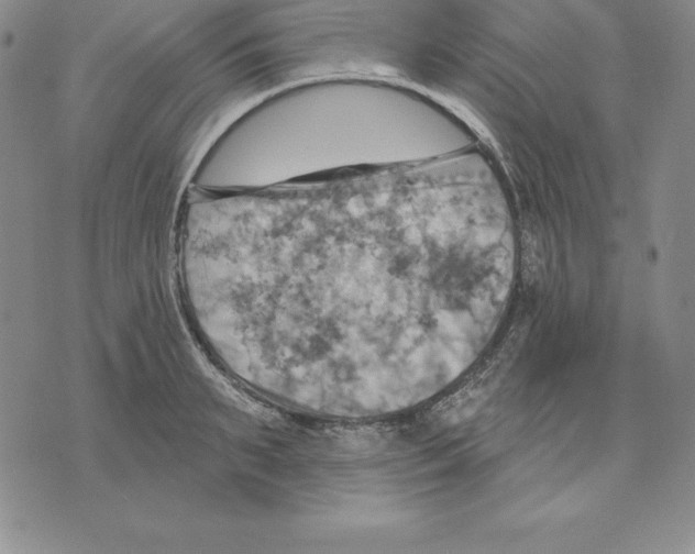 X0000075830895200610151517