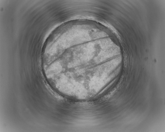 X0000075830896200610151517