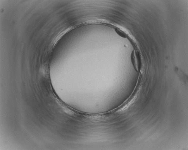 X0000075830897200610151517