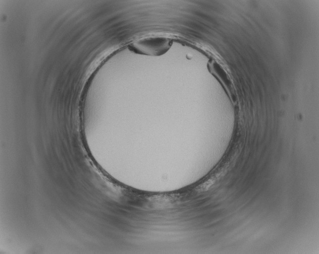 X0000075830898200610151517