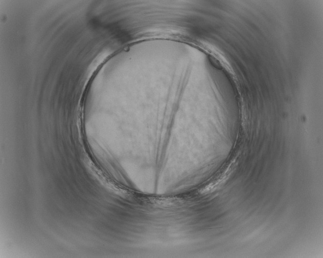 X0000075830899200610151517