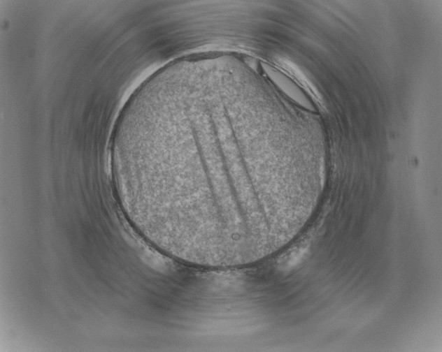 X0000075830900200610151517