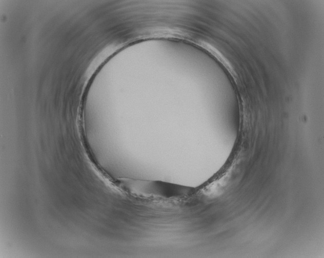 X0000075830901200610151517