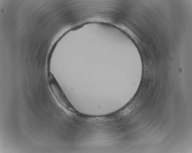 X0000075830902200610151517