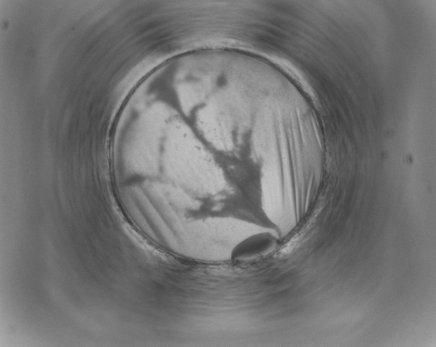 X0000075830903200610151517