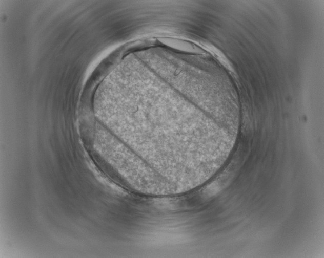 X0000075830904200610151517