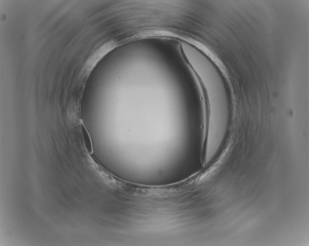 X0000075830905200610151517