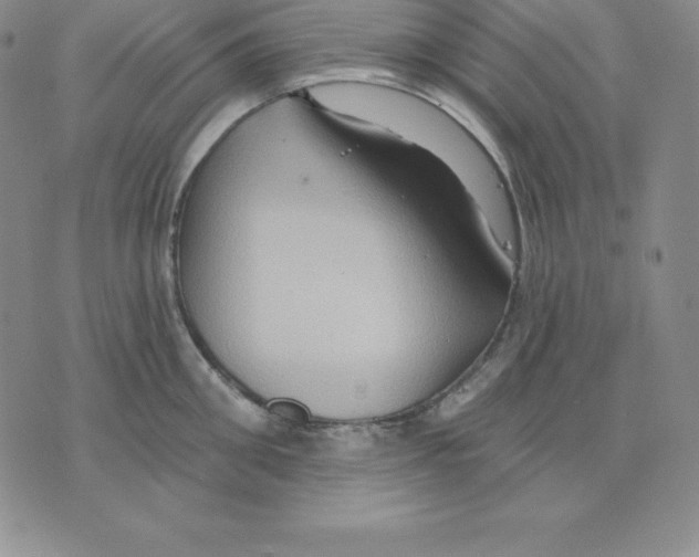 X0000075830906200610151517