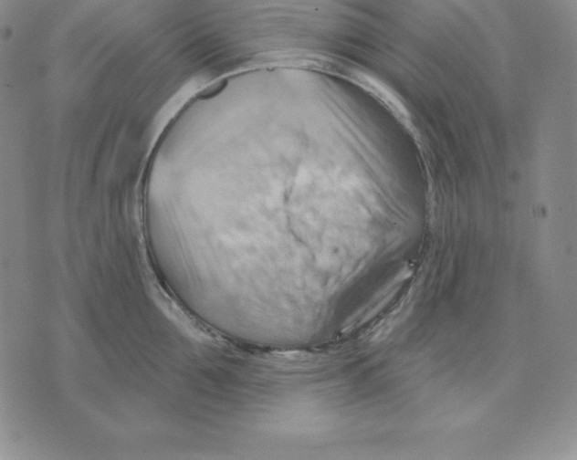 X0000075830907200610151517