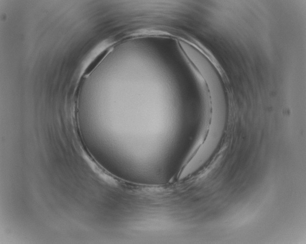 X0000075830909200610151517