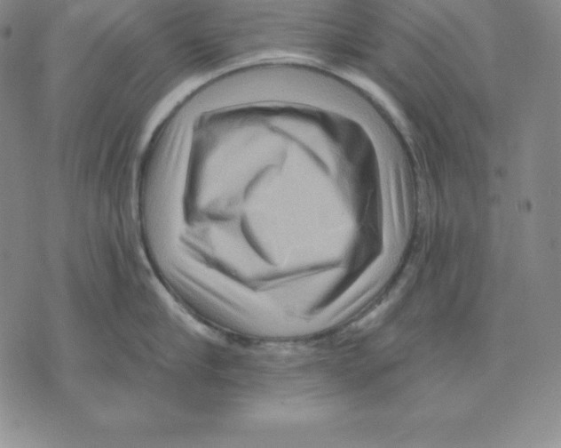 X0000075830910200610151517