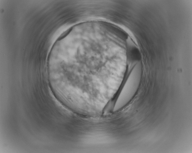 X0000075830911200610151517