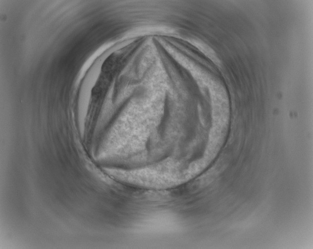 X0000075830912200610151517