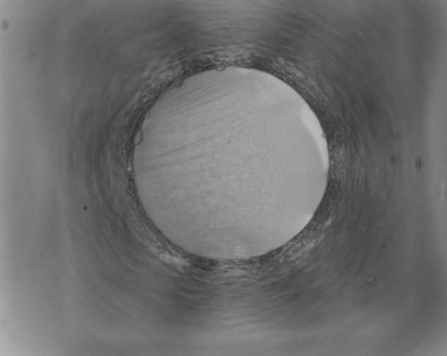 X0000075830913200610151516