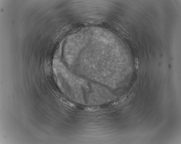 X0000075830915200610151516