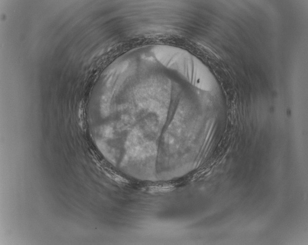 X0000075830917200610151516