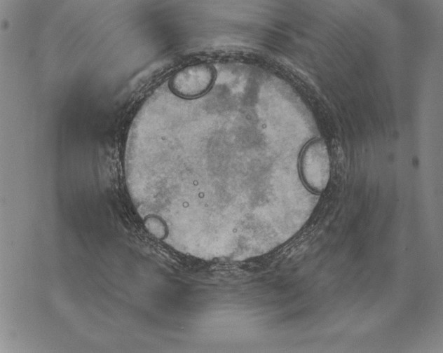 X0000075830918200610151516