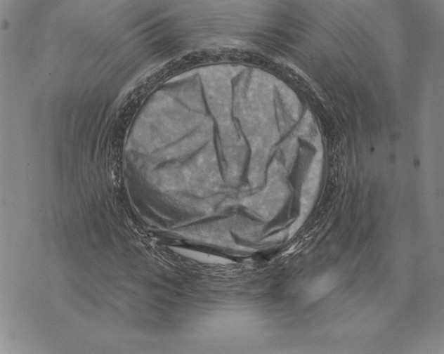 X0000075830919200610151516