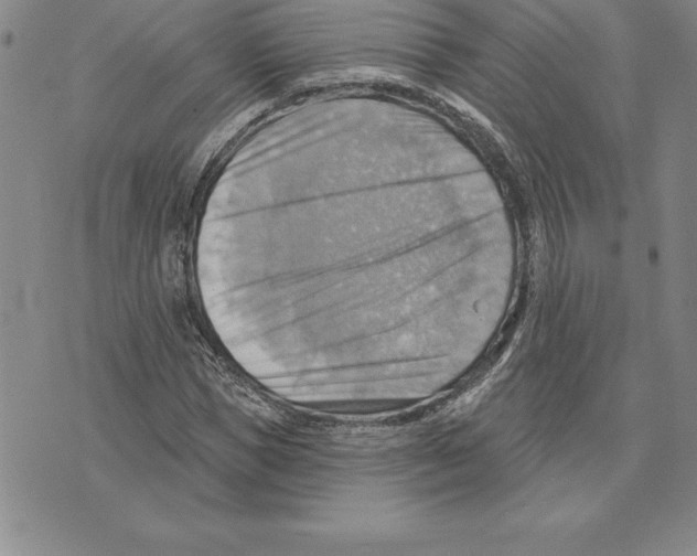 X0000075830921200610151516