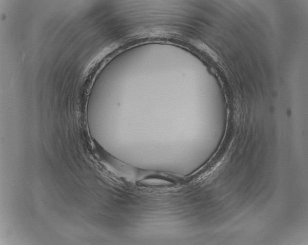 X0000075830922200610151516