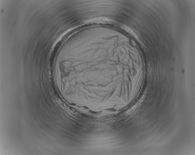 X0000075830923200610151516