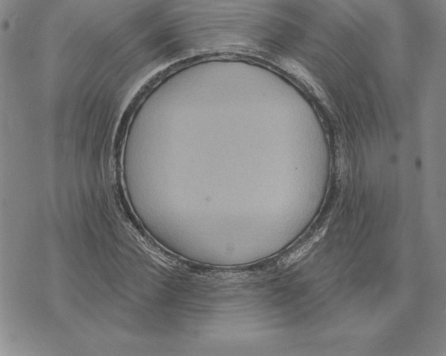 X0000075830924200610151516