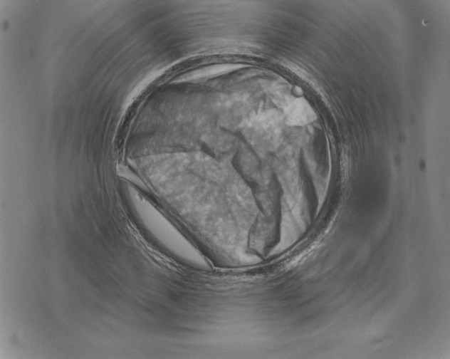 X0000075830925200610151516