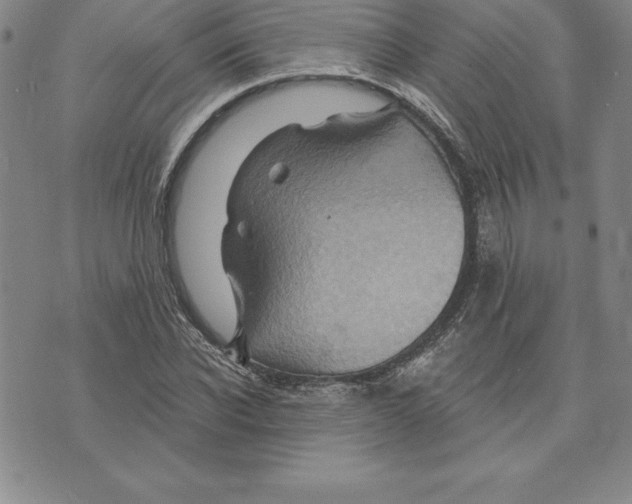 X0000075830926200610151516