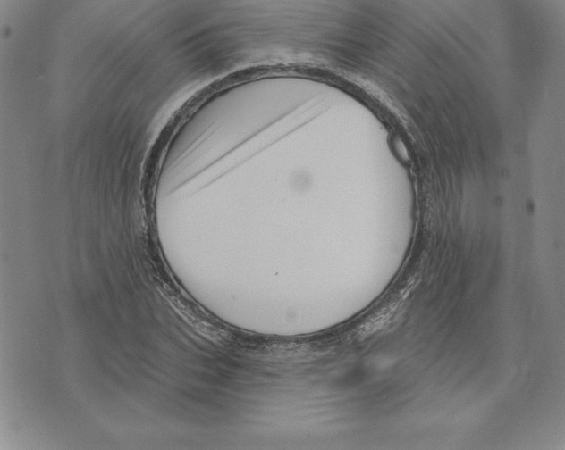 X0000075830927200610151516