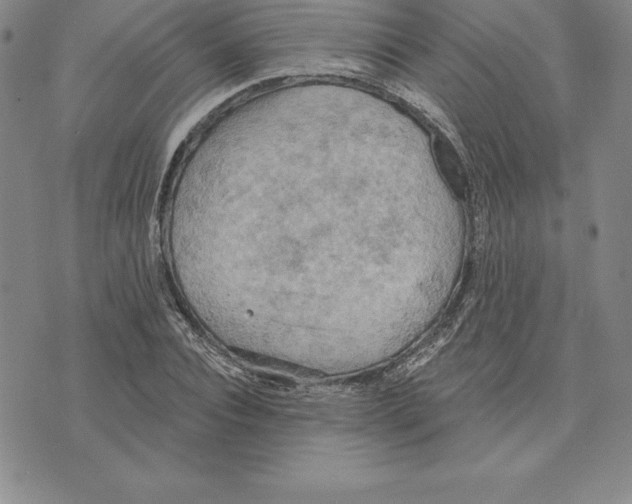 X0000075830928200610151516