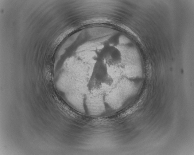 X0000075830929200610151516