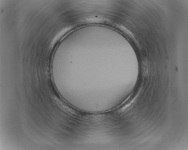 X0000075830930200610151516