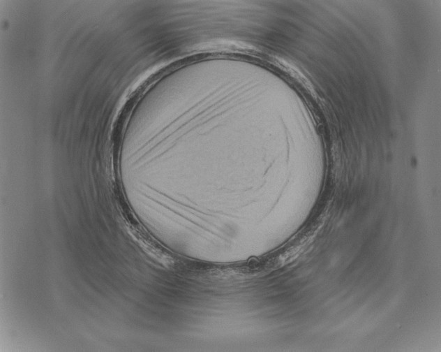 X0000075830931200610151516