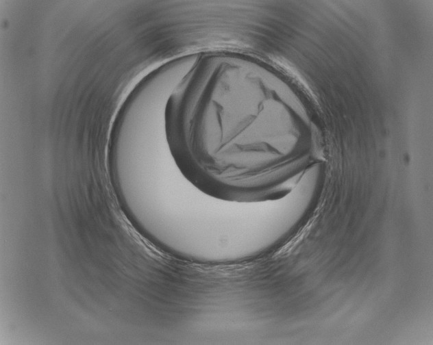 X0000075830932200610151516